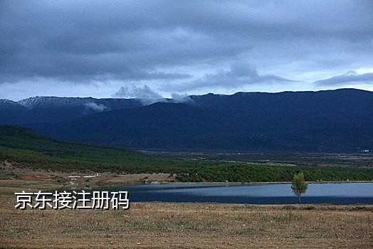 淘宝注册账号的接码平台