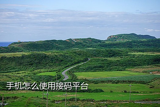 淘宝联盟注册+接码平台
