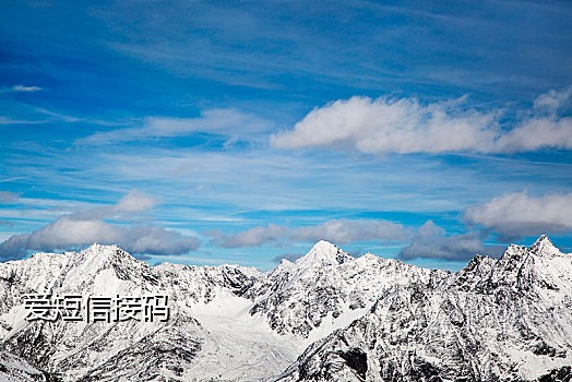 短信接码付费版