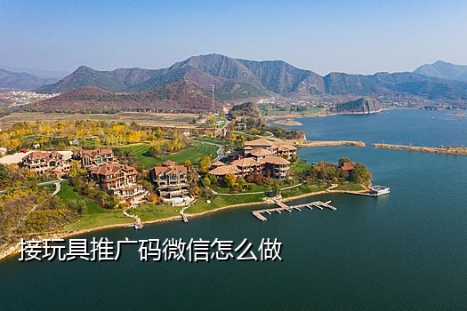 手机云卡接码神器