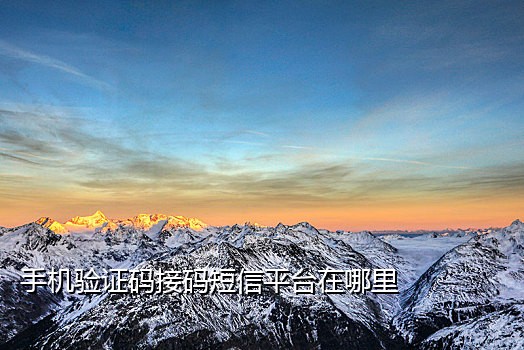 手机验证码接码平台源码