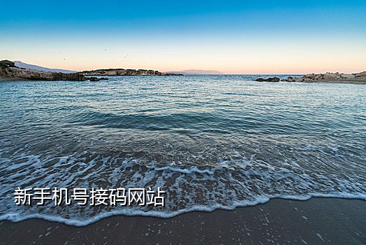 手机免插卡接码