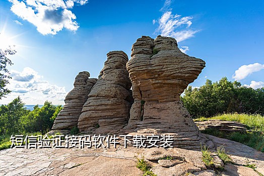 手机卡接码神器