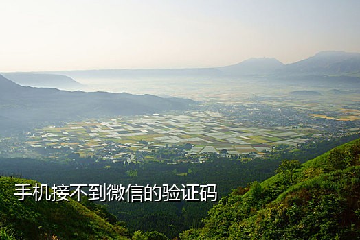短信接码app2021