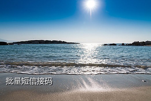 手机接码软件号接码