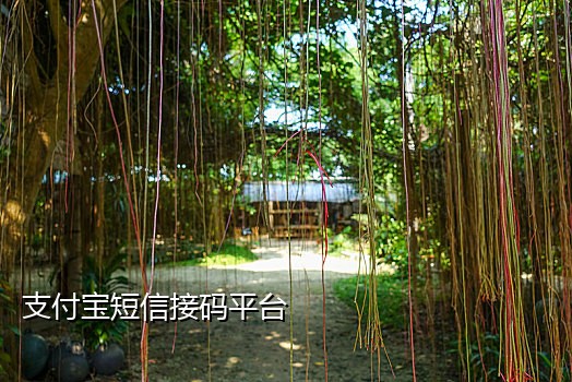 手机接码国外可以用吗