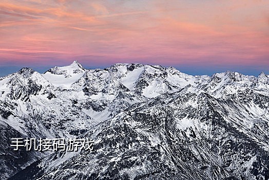 手机接码短信平台怎么收费