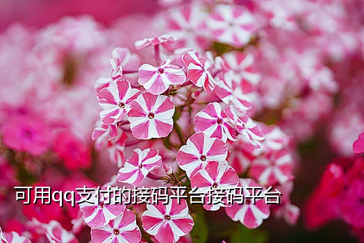 手机号接两个验证码注册qq