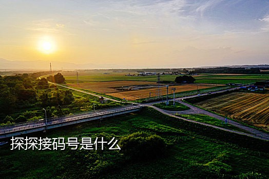 收到接码短信是真的吗