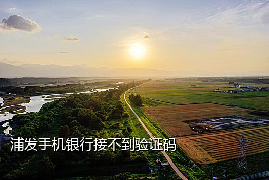 十大接码短信平台