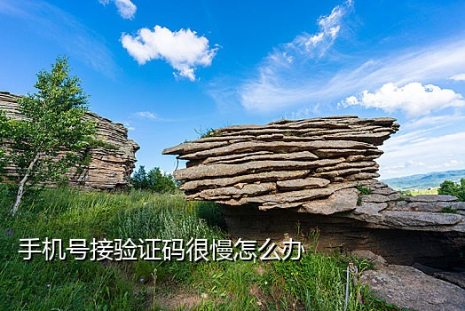 什么云接码短信平台可以查