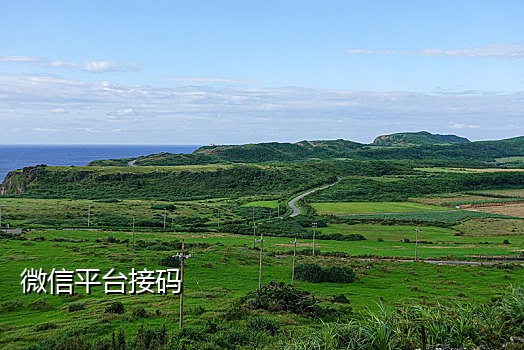 什么平台可以手机接码