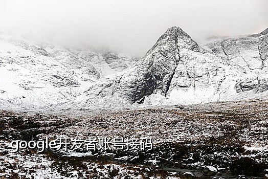 抖音四方接码平台