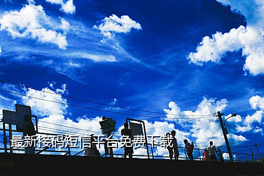 苹果13接不到验证码了