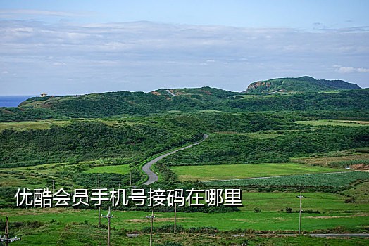 拼多多接入码在哪看