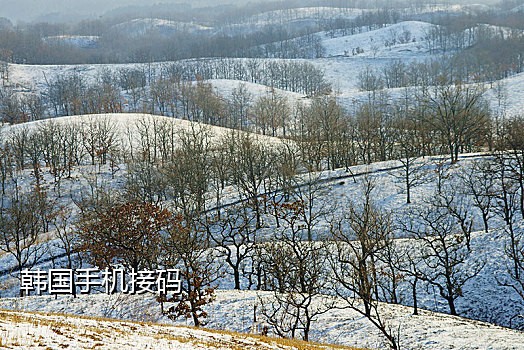 能够发送短信的接码平台