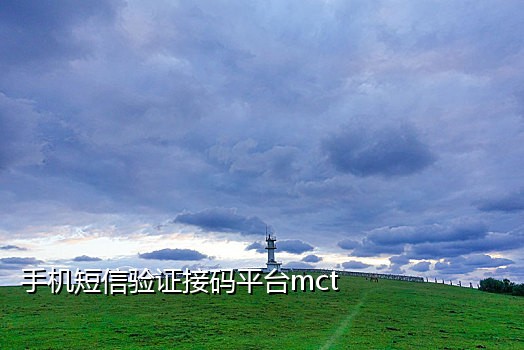 哪个接码平台能修改支付宝