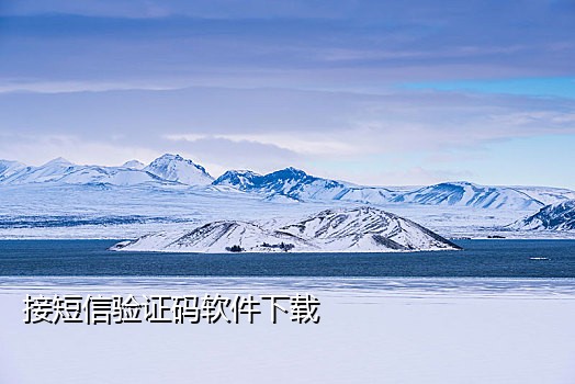 陌陌接码平台对接