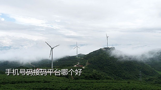 免费虚拟手机号接码平台