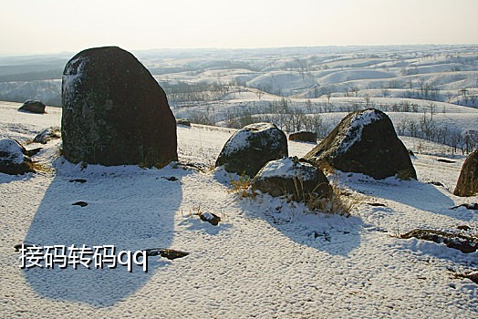 免费手机号接码软件