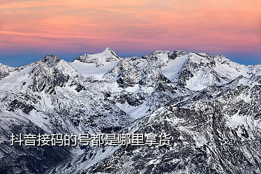 免费接验证码平台的手机号是什么