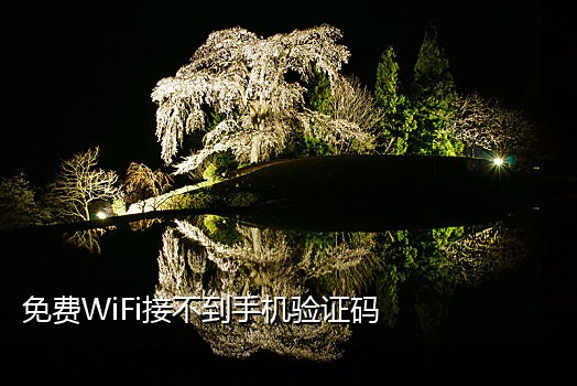 免费接短信验证码的平台