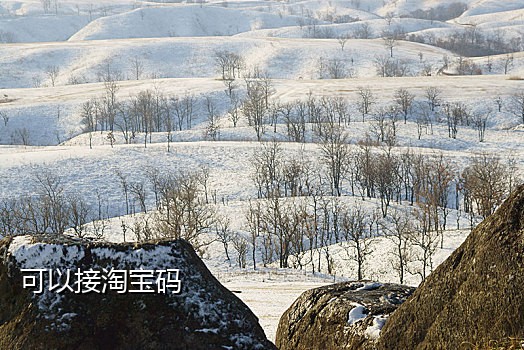 美国接码淘宝号