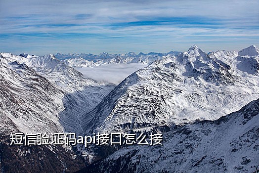 利用接码平台注册支付宝