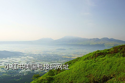 拉新项目手机接码