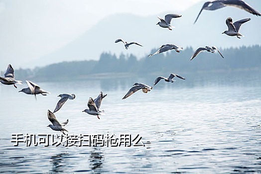 快手接码是什么