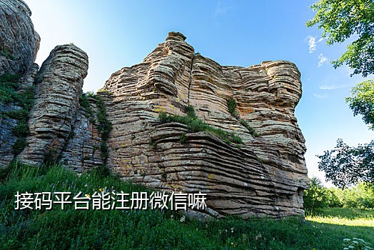 快手接几次语音验证码