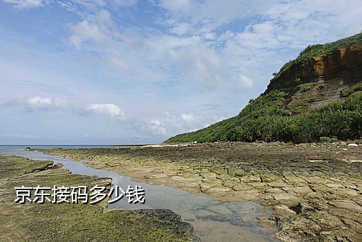 聚码接码能注册淘宝吗