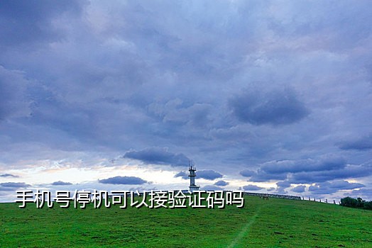 京东接码上