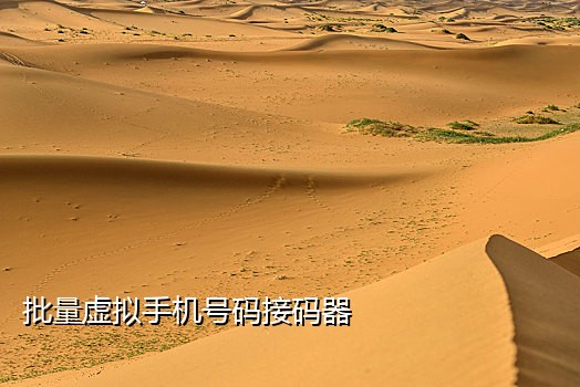接验证码平台的手机号码
