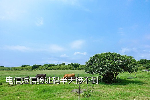 接码专用手机吗