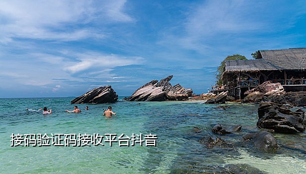 接码专用手机
