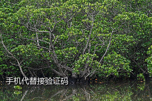 接码注册快手号