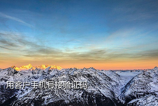 接码手机号短信