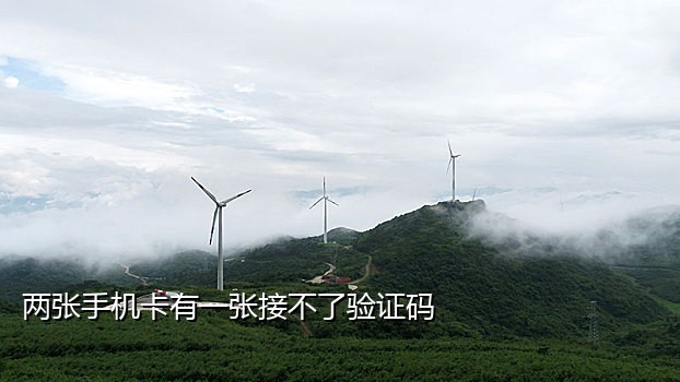 接码平台一次短信收费多少