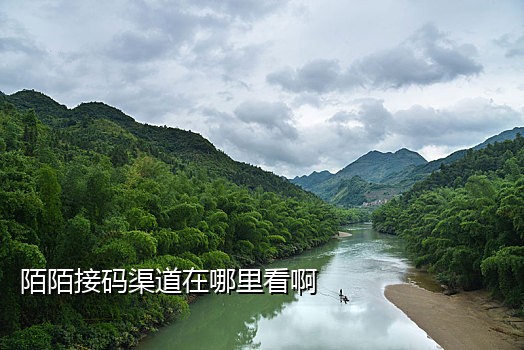 抖音接码登录
