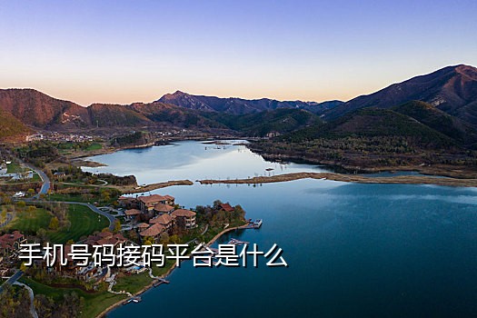 接码平台手机号新