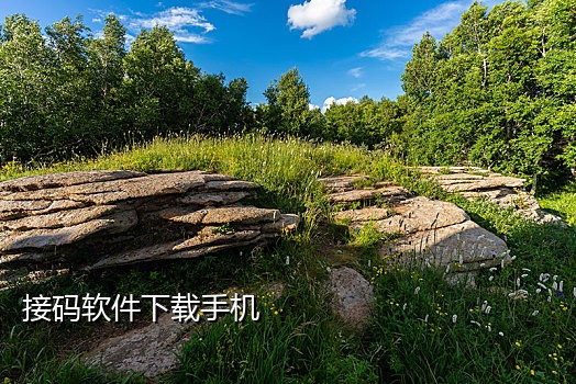 接码平台手机号哪里来的