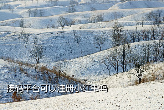 接码平台释放手机号什么用