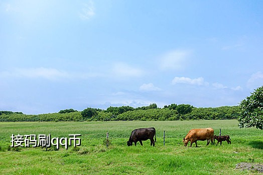接码平台可以解封微信的吗