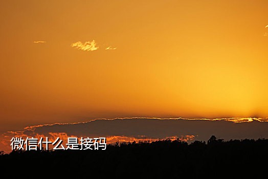 接码平台 探探