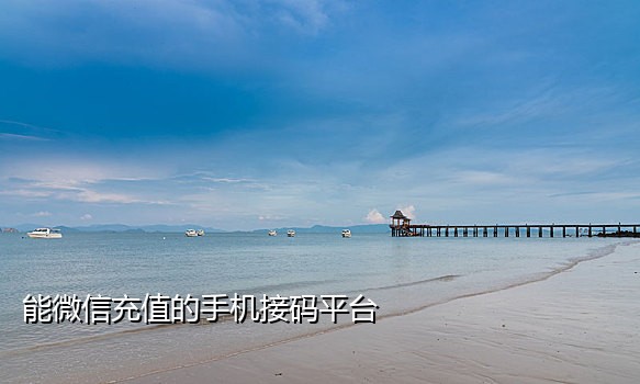 接码品台的手机号怎么来的