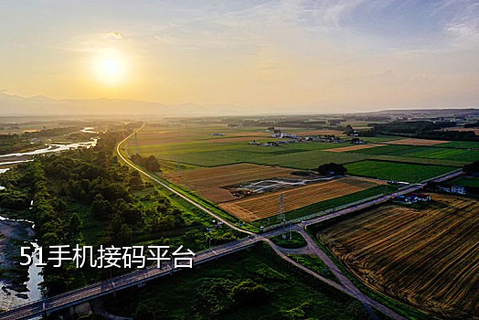 接码机用手机卡