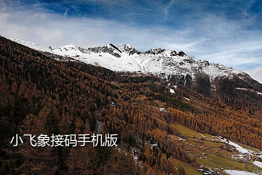 接码号在线接收短信验证码