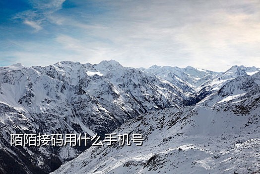 接码短信验证码平台app蓝鸟