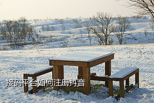 接码短信平台真实有效